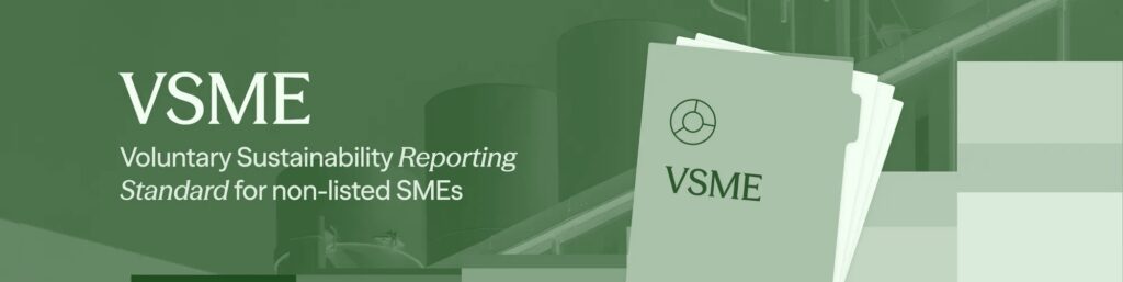 rapport VSME 2025
